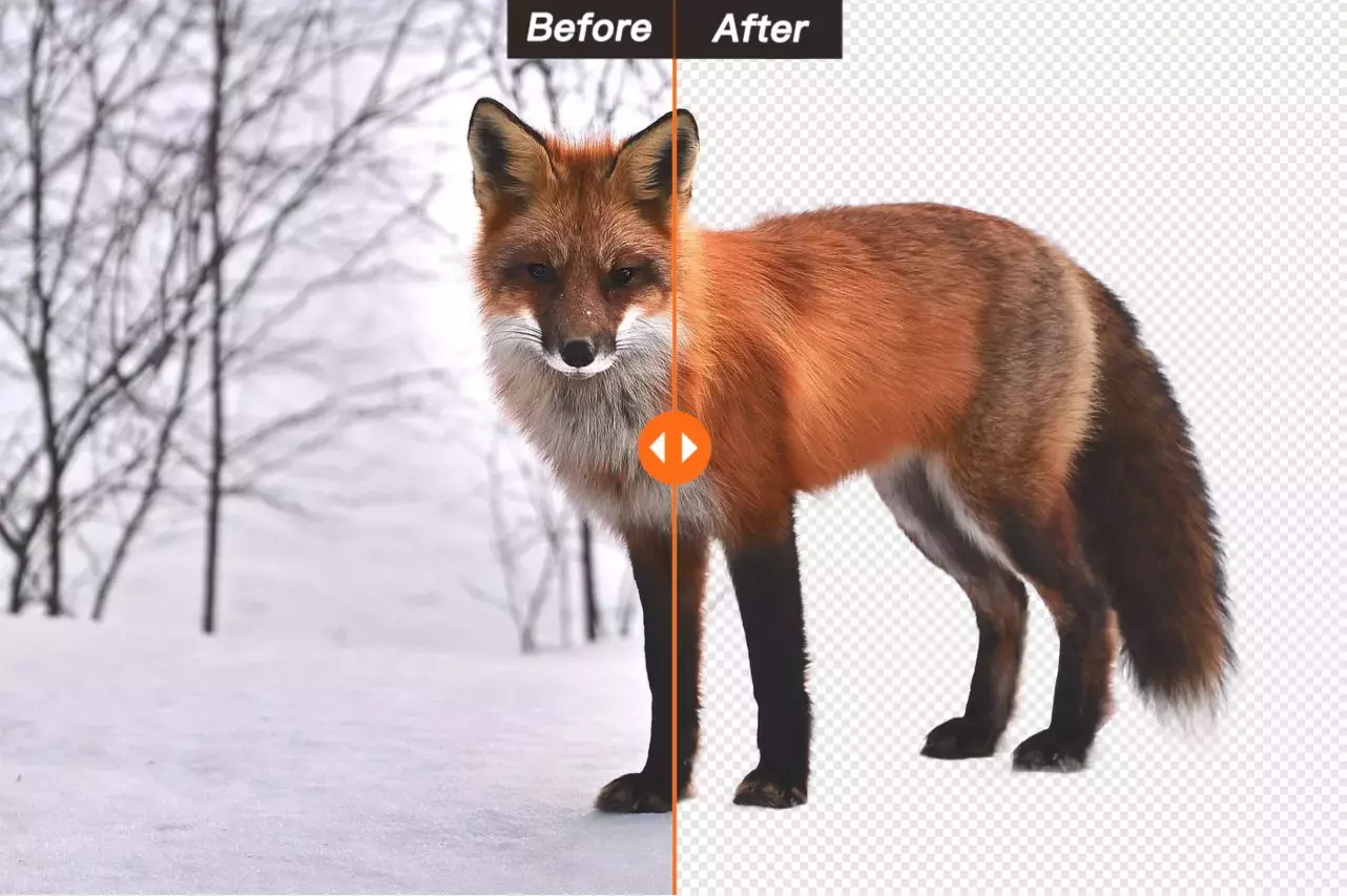 Comparación del antes y el después de la eliminación del fondo de la imagen