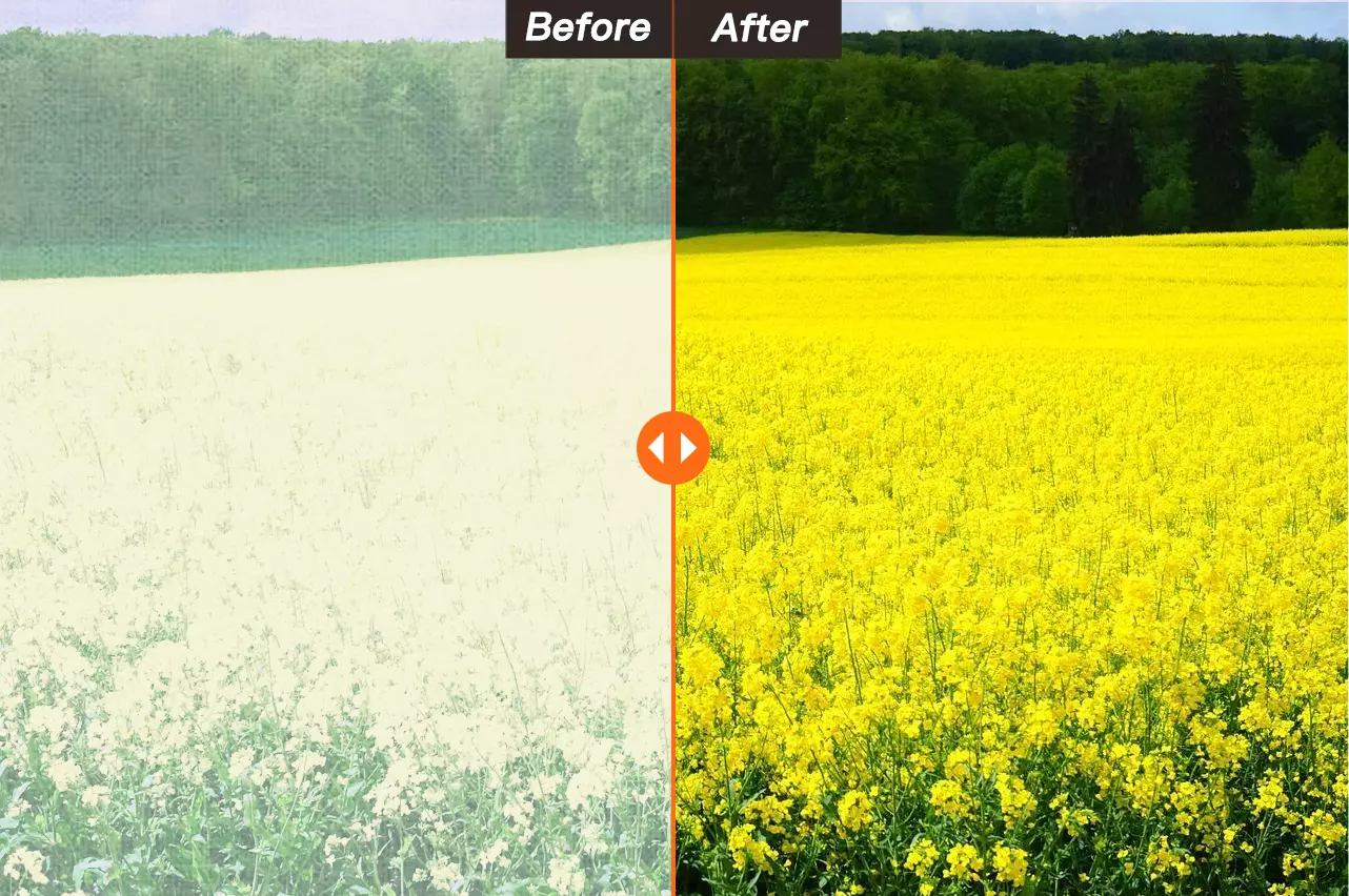 Fotografías antes y después de la eliminación de la bruma