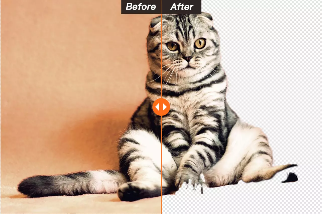 Image background removal before and after comparison