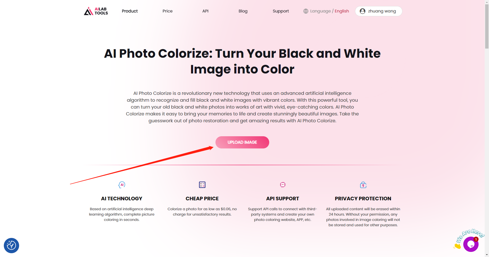 homepage-of-AILabTools-Colorize