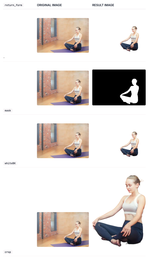 Portrait-Background-Removal-AILabTools