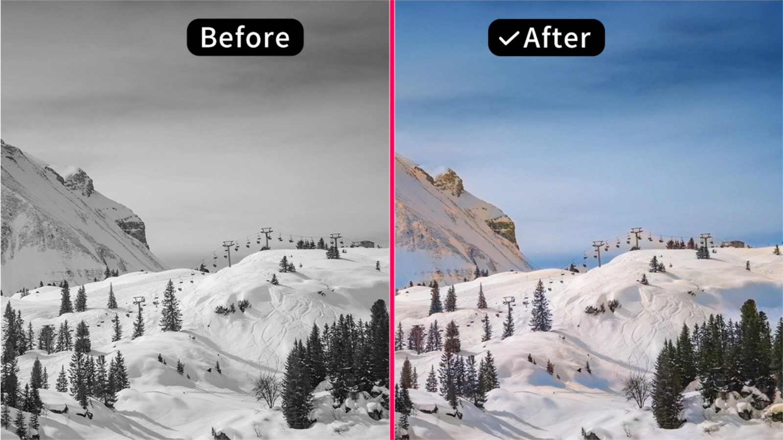 AI colorize photo - pour colorier des photos noir et blanc dessinées à la main