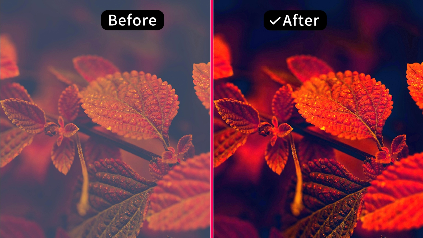 How does AILabTools Photo Dehaze function?